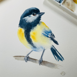 Aquarelcursus : initiatiereeks januari